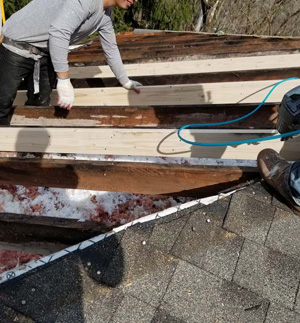 Animal damage insurance claims processed by MD Siding & Roofing in Pottstown, PA